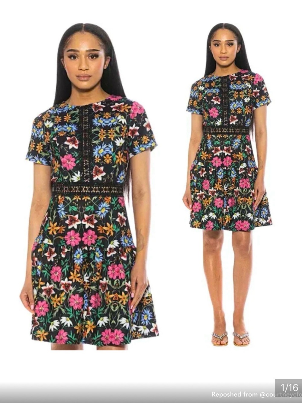 Alexia Admor Black Multi Floral Dress
